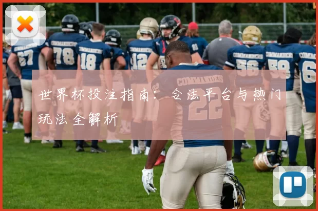 世界杯投注指南：合法平台与热门玩法全解析