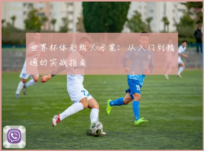 世界杯体彩购买方案:从入门到精通的实战指南