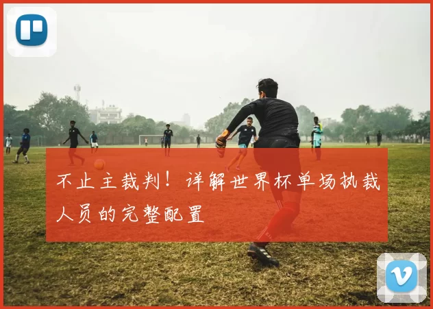 不止主裁判!详解世界杯单场执裁人员的完整配置