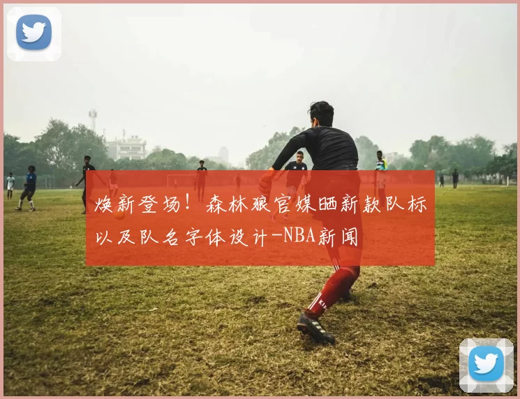 焕新登场!森林狼官媒晒新款队标以及队名字体设计-NBA新闻