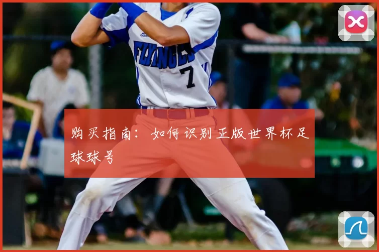 购买指南:如何识别正版世界杯足球球号