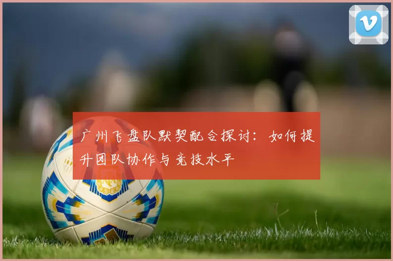 广州飞盘队默契配合探讨:如何提升团队协作与竞技水平