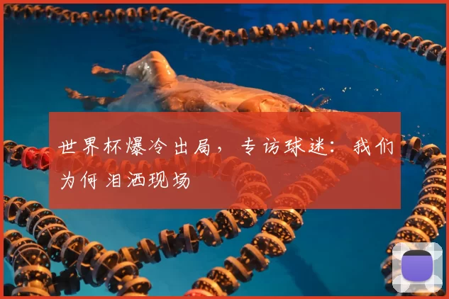 世界杯爆冷出局,专访球迷:我们为何泪洒现场