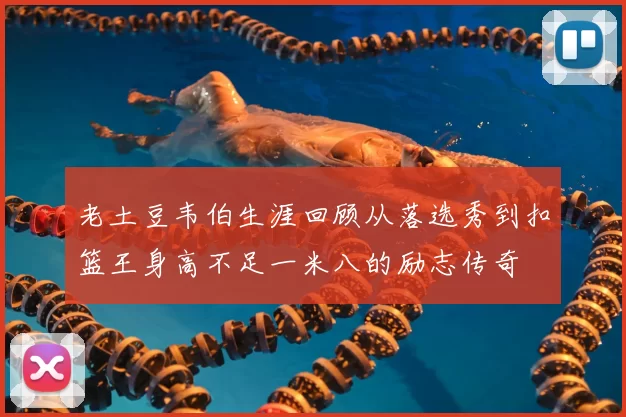 老土豆韦伯生涯回顾从落选秀到扣篮王身高不足一米八的励志传奇