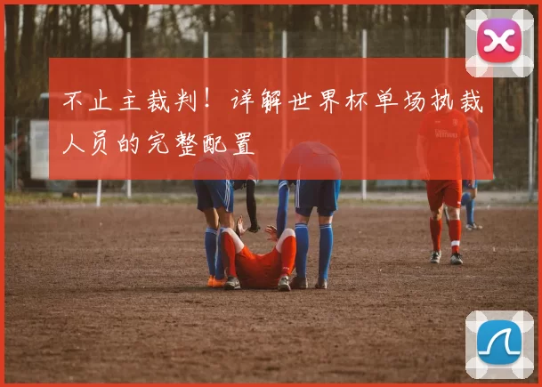 不止主裁判!详解世界杯单场执裁人员的完整配置