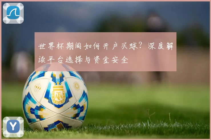 世界杯期间如何开户买球?深度解读平台选择与资金安全