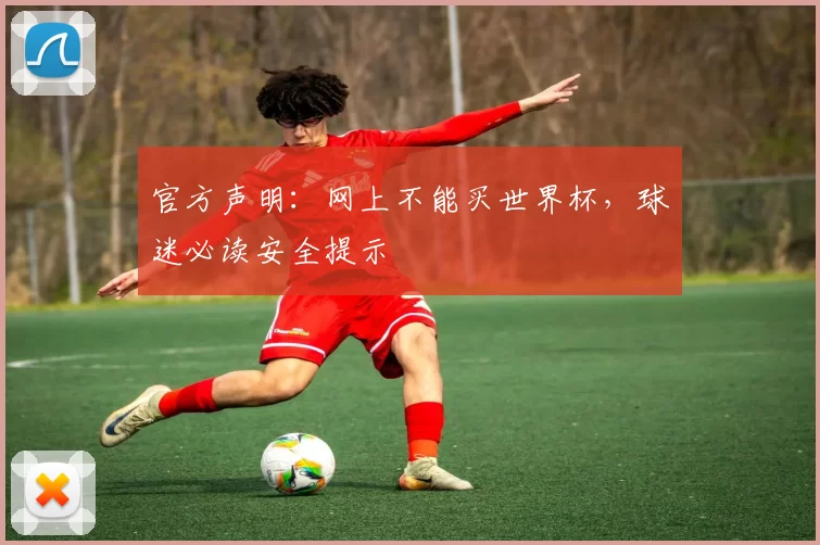 官方声明：网上不能买世界杯，球迷必读安全提示