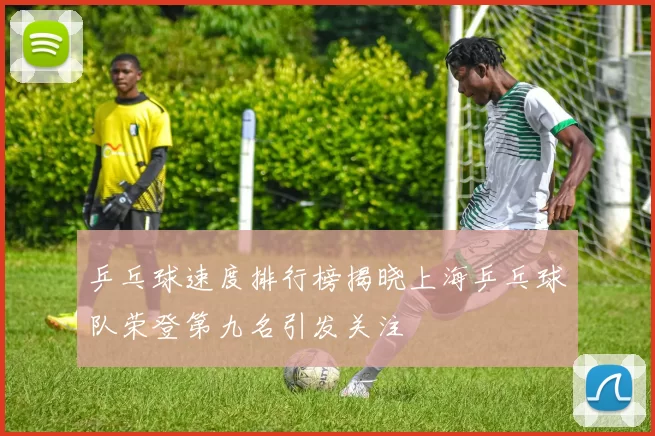 乒乓球速度排行榜揭晓上海乒乓球队荣登第九名引发关注