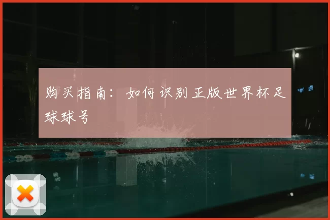 购买指南:如何识别正版世界杯足球球号
