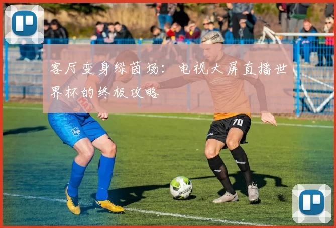 客厅变身绿茵场：电视大屏直播世界杯的终极攻略
