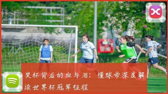 奖杯背后的血与泪:懂球帝深度解读世界杯冠军征程