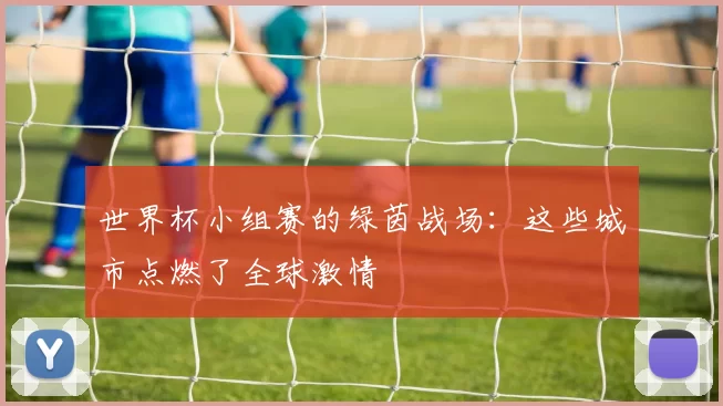 世界杯小组赛的绿茵战场:这些城市点燃了全球激情