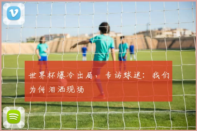 世界杯爆冷出局,专访球迷:我们为何泪洒现场