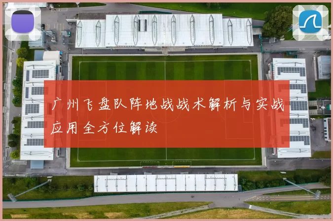 广州飞盘队阵地战战术解析与实战应用全方位解读