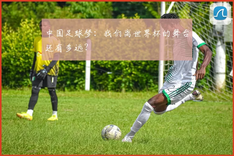 中国足球梦:我们离世界杯的舞台还有多远?